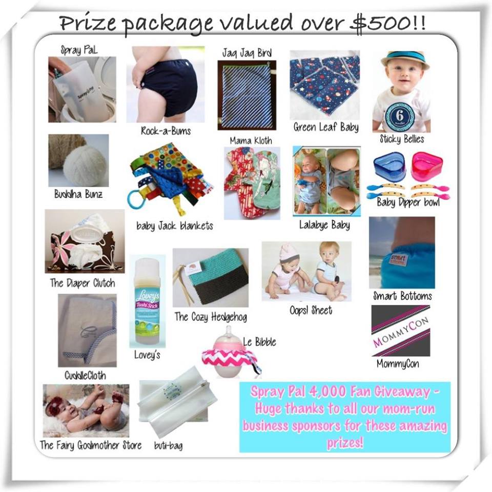 Spray Pal epic cloth diaper and baby products giveaway on www.kaylaaimee.com